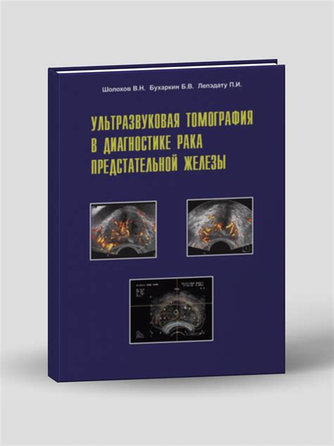 Ультразвуковая томография: визуализация жировых отложений в организме