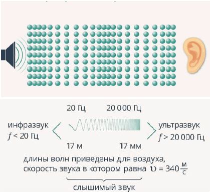 Ультразвуковые волны: характеристики и частота