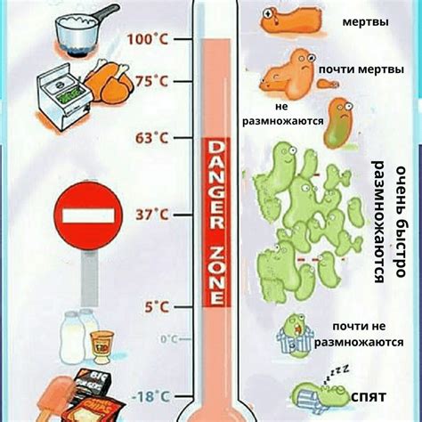 Уникальная температурная зона