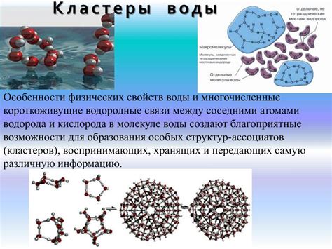 Уникальные особенности строения