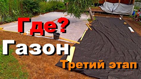 Уникальные приемы для устранения проблемы атак птиц на новосев газона