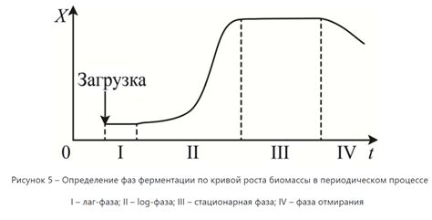 Уникальные способы ферментации