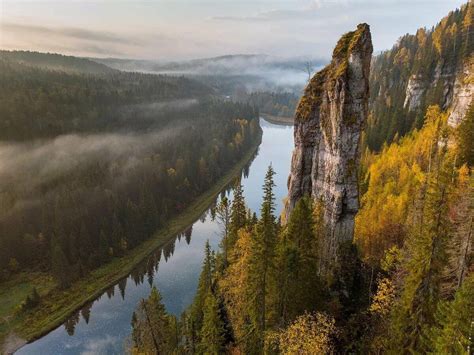 Уникальный вид в мире природы