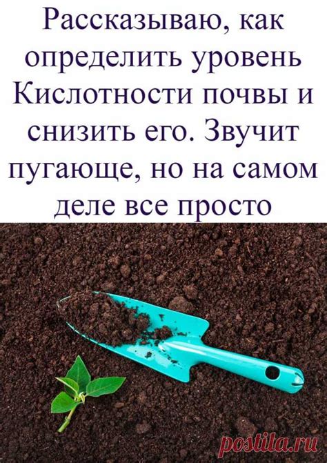 Уровень кислотности и шиповник