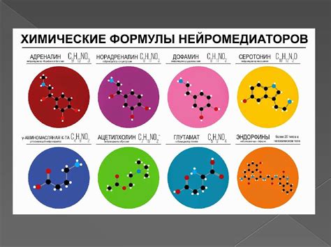 Уровни катехоламинов в организме