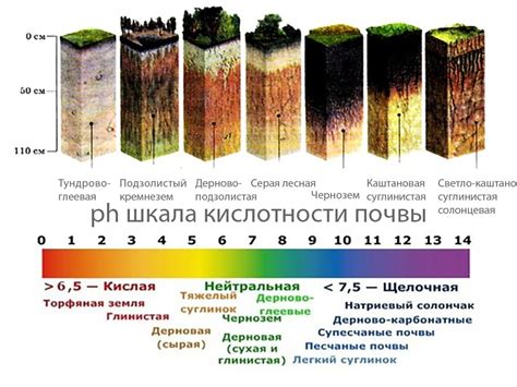 Усиление поддержания оптимальной влажности почвы