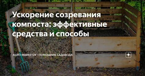 Ускорение созревания