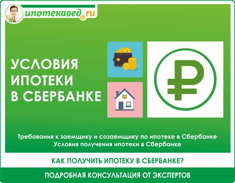 Условия оформления контактного номера в Сбербанке