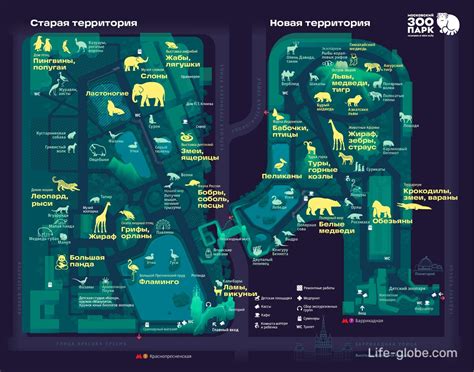 Условия посещения территории зоопарка в Москве в октябре