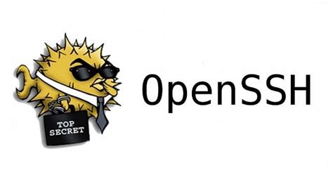 Установить пакет OpenSSH-server