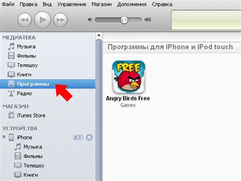 Установка приложения на iPhone