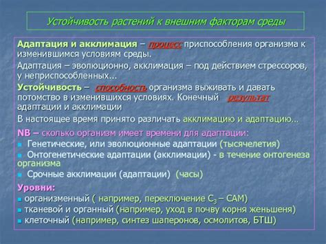 Устойчивость к внешним условиям: сравнение первого и второго датчиков кислорода