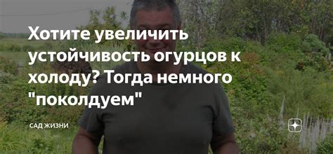 Устойчивость к холоду