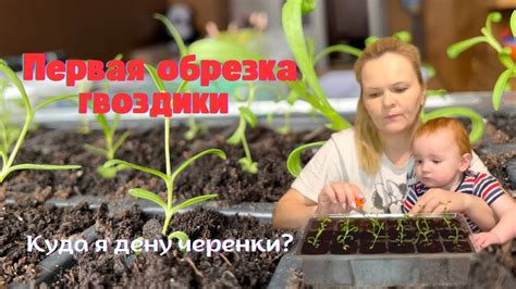 Уход за маленьким совенком: 9 советов