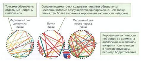 Уход после пикника: сохранение воспоминаний и рефлексия