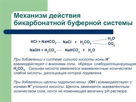 Участие бикарбонатной буферной системы в обмене веществ