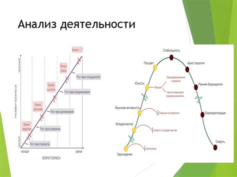 Учет особенностей деятельности ИП