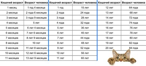 Учитывайте возраст и активность питомца