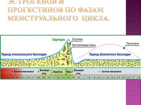 Фаза прогестерона и температура