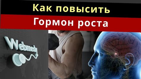 Факторы, влияющие на набор веса при применении гормона роста