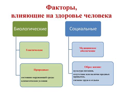 Факторы, влияющие на нашу жизненную позицию: роль предопределения