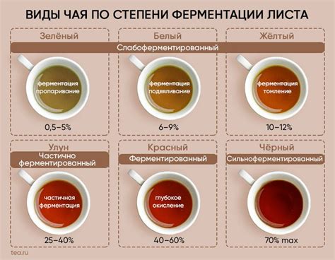 Факторы, влияющие на осадок в напитке и способы его предотвращения