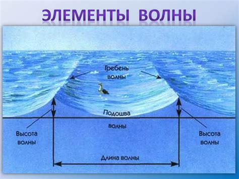 Факторы, влияющие на прилив и отлив