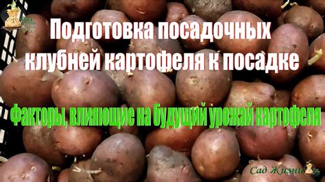 Факторы, влияющие на урожай: