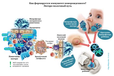 Факторы, способствующие появлению грудного молока у одобряющей матери: