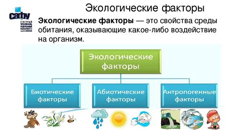 Факторы окружающей среды