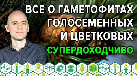 Факты о гаметофитах