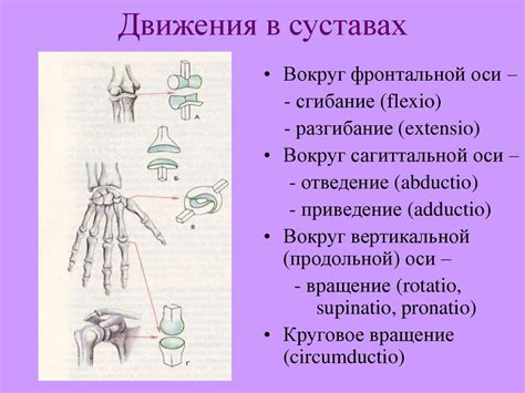 Факты о сгорании костей