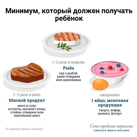 Фасоль как источник белков для сбалансированного рациона на правильном питании