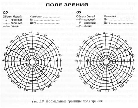 Феномен полной темноты в поле зрения: влияние на зрительную функцию и причины появления