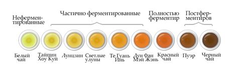 Ферментация и окисление