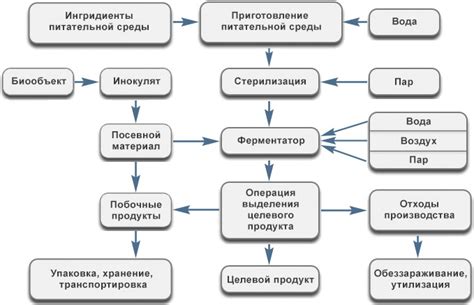 Ферментация соков и кожуры розовых ягод: рассматриваем уникальный процесс производства