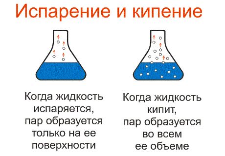 Физика взаимодействия чая и воды