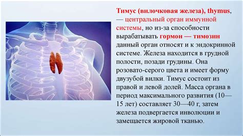 Физиологические аспекты реакции организма