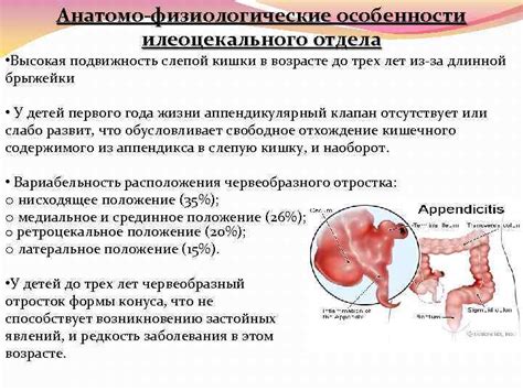 Физиологические особенности ушек