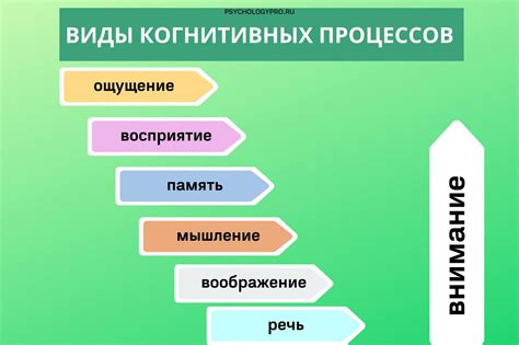 Физиологические процессы когнитивной работы