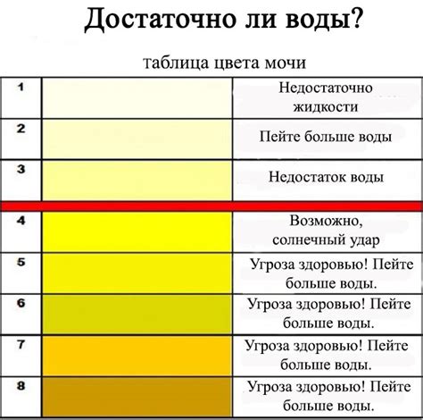 Физиологические факторы, влияющие на цвет мочи