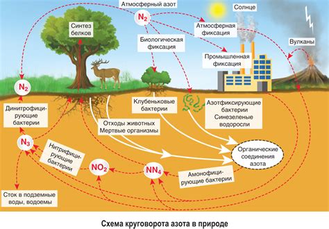 Фиксация картинки