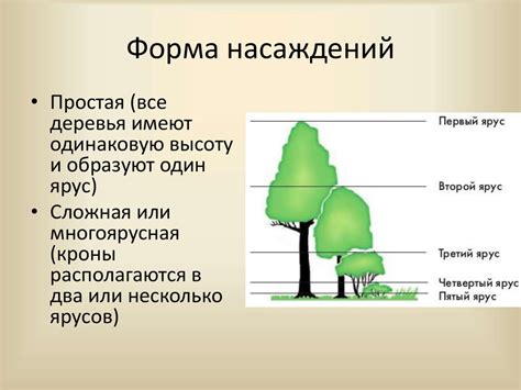 Форма и происхождение