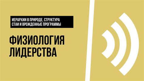 Формирование иерархии в стае