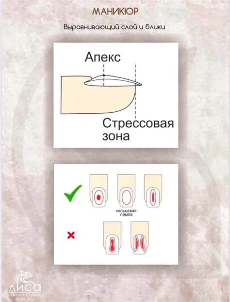 Формирование и моделирование ногтевой пластины