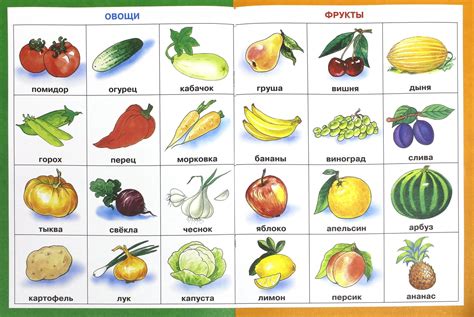 Фрукты и овощи для успешной лактации