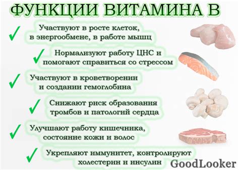 Функции витаминов группы Б