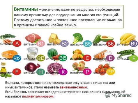 Функции витаминов D2 и D3 в организме