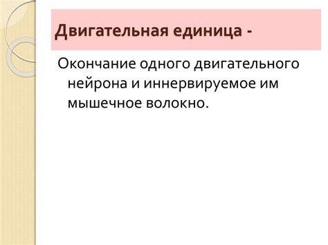 Функциональная единица спинного мозга: влияние на работу органов