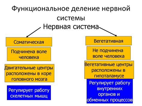 Функциональное значение единицы